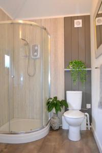 Un baño con ducha y WC y una planta. en The Garden Lodge, en Shaldon