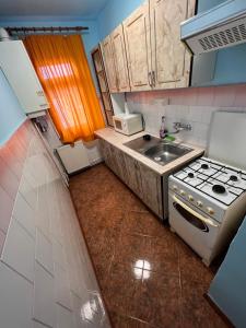 Comfycondo apartment في زالاو: مطبخ صغير مع موقد ومغسلة