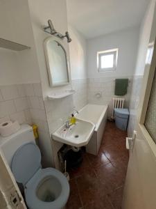 La salle de bains est pourvue de toilettes et d'un lavabo. dans l'établissement Comfycondo apartment, à Zalău