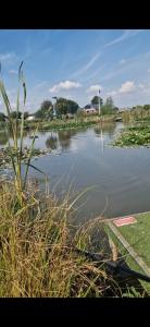 une masse d'eau avec de l'herbe et des mauvaises herbes dans l'établissement Herons Mead Touring Park and Fishing Lakes - Plot 18, à Orby