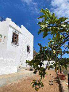 un edificio blanco con una ventana y un árbol en Casa Aya en Teror