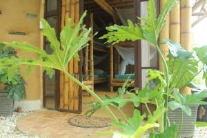 an open door of a house with a plant at Sol de Minca Eco Lodge in Minca