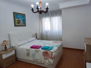 1 dormitorio con 1 cama con 2 almohadas en Casa Rural Oscar, en Baiona