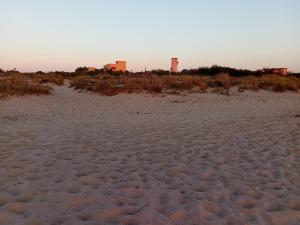 Gallery image of Accesso diretto sul mare MarediluceCala in Calambrone +33 photos