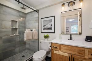 a bathroom with a toilet and a sink and a shower at Nor Ski Haus Estate in Government Camp