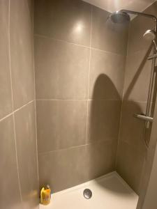 a bathroom with a shower with a sink and a shower at Sweet cosy home spacieux 2 rooms in Montigny-le-Bretonneux