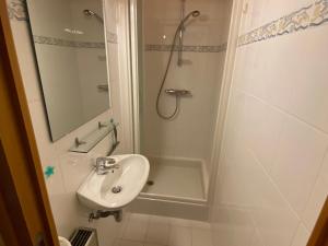 Koupelna v ubytování Duplex charmant proche du centre village Châtel - FR-1-693-5 + 8 fotografií