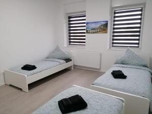 1 Schlafzimmer mit 2 Betten und 2 Fenstern in der Unterkunft estrella24 LIVING ROOMS Sydney in Herne