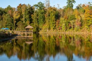 a gazebo sitting next to a lake with trees at Juneberry Ridge in Norwood