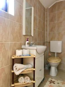 uma casa de banho com um lavatório e um WC em Casuta cu amintiri em Câmpulung