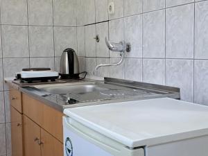 eine Küche mit einer Spüle und einem Herd Top-Backofen in der Unterkunft Gjorgji Apartments 68a in Ohrid
