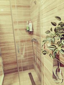 y baño con cabina de ducha y planta. en Zlatarska Studenica en Brdo