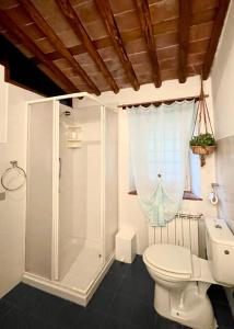 uma casa de banho com um WC e um chuveiro em La casa In Valli 35 em Bagni di Lucca