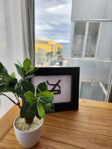 una cornice da cornice seduta su un tavolo accanto a una pianta di Loft Urbano Ushuaia a Ushuaia