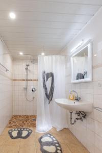 a bathroom with a shower and a sink at Zur Kleinen Hummel in Gernrode - Harz +19 photos