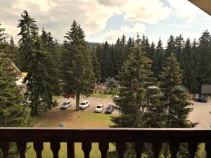 Pokrajina v okolici apartmaja