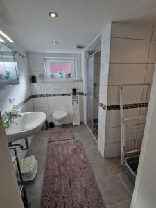 a bathroom with a sink and a toilet at Ferienwohnungen Dümmersee - Haus Alter Pferdestall in Hüde +34 photos