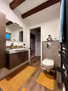 een badkamer met een toilet en een wastafel bij Blockhaus Ourtal in Winterspelt