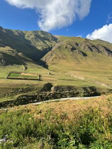 a green field with mountains in the background at Guesthouse Ivas in Ushguli