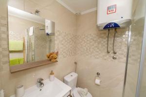 a bathroom with a toilet and a sink and a shower at Apartments in Veli Losinj 26474 in Veli Lošinj