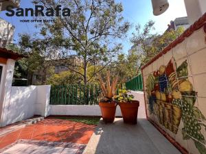 un patio avec deux plantes en pot sur un mur dans l'établissement SanRafa Polanco I, à Mexico