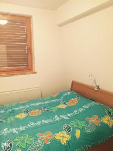 Giường trong phòng chung tại Apartman Babin Do Bjelasnica