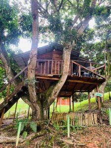 Zahrada ubytování Eco-Glamping Shalom
