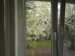an open window with a view of a tree at Apartament Parterowy in Poznań