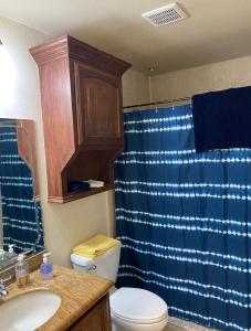 a bathroom with a toilet and a blue shower curtain at Brownsville Comfort 2 bedroom 1 bath , Spacious Kitchen and Outdoor Home in Brownsville