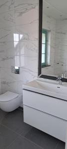 W łazience znajduje się toaleta, umywalka i lustro. w obiekcie Tulipan w mieście Krapkowice
