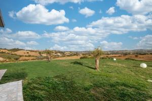 een groen veld met twee bomen in het gras bij CASAL DEL SOLE in Montefelcino