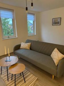 a living room with a green couch and two tables at PrimeBnb Bad Salzungen in Bad Salzungen