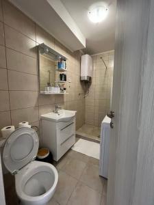 La salle de bains est pourvue de toilettes et d'un lavabo. dans l'établissement Orlando apartman, à Kotor