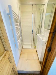 uma casa de banho com um chuveiro e um lavatório. em Haussmannien lumineux em Marselha