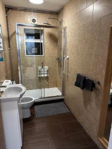 a bathroom with a shower and a toilet and a sink at Luxury apartment studio in central cardiff in Cardiff