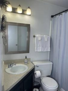 La salle de bains est pourvue de toilettes, d'un lavabo et d'un miroir. dans l'établissement 1 BR Loft Medical District Fondren, à Jackson