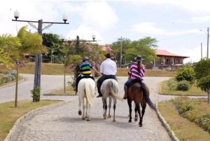 a group of people riding horses down a street at Loc10flats 3 Quartos - Residencial Monte Castelo in Bezerros