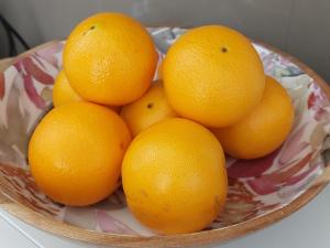 a bowl of oranges sitting on a table at Sunny studio and the best view of the city, Glebe in Sydney