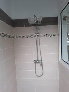 łazienka z prysznicem z głowicą prysznicową w obiekcie Le Gîte Petit colibri w mieście Sainte-Rose