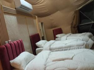 Postel nebo postele na pokoji v ubytování جولات جيب وادي رم