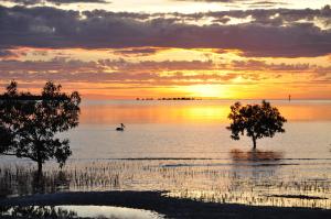 einen Sonnenuntergang über einem Wasserkörper mit zwei Bäumen in der Unterkunft Gone Fishin Holiday Units in Karumba