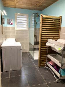 y baño con lavabo y ducha. en Le Chalet de cyprès, en Saint-Louis