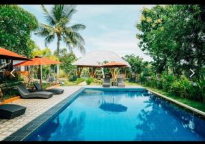 a swimming pool with chairs and umbrellas in a yard at Tinggian Hill Retreat in Nusa Penida