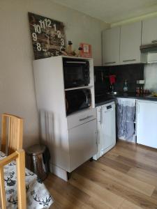 a kitchen with a white refrigerator and a microwave at Studio avec jardin et garage, à 100m d'une piste in Les Deux Alpes