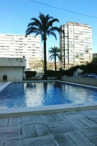 a large swimming pool with palm trees and buildings at Apartamentos Torre Levante - Arca Rent in Benidorm