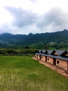 un groupe de bâtiments dans un champ d'herbe dans l'établissement Lý Thị Chương Homestay & Bungalow, à Bản Kam