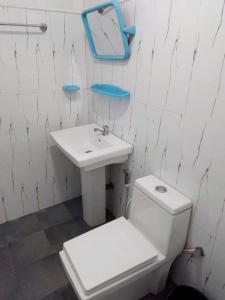 La salle de bains est pourvue de toilettes et d'un lavabo. dans l'établissement Lion Home Stay Anuradhapura, à Anurâdhapura