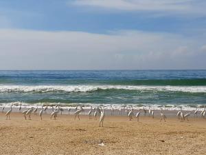 Φυσικό τοπίο κοντά σε αυτό το δωμάτιο σε οικογενειακή κατοικία