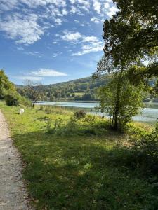 un camino junto a un lago con un árbol en Ländliche Fewo Wildblume, 4 km zum Stausee en Happurg