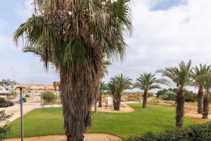 a palm tree in a park with palm trees at Orilla del mar in Oliva